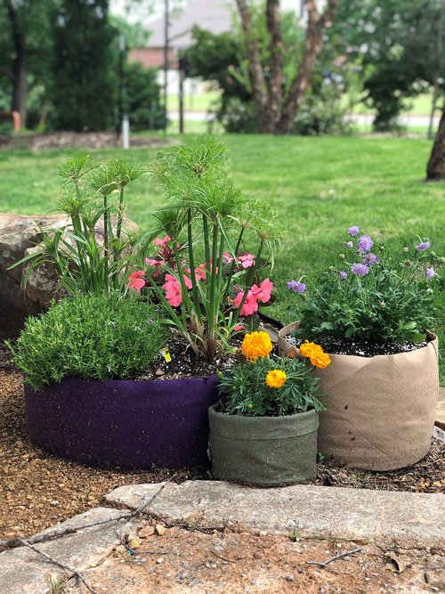 Smart Pots 5-Gallon Smart Pot Soft-Sided Container, Tan