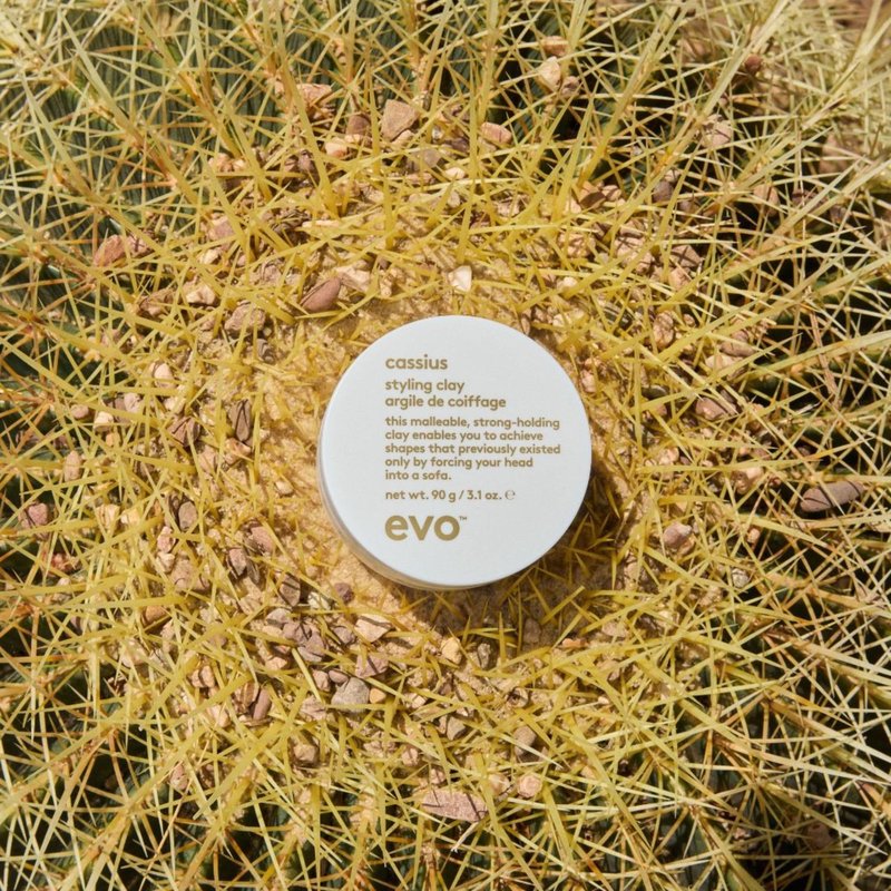 Evo Cassius Strong Hold Hair Styling Clay for Thick Hair - Adds Definition, Texture & Matte Finish - 3.17 oz