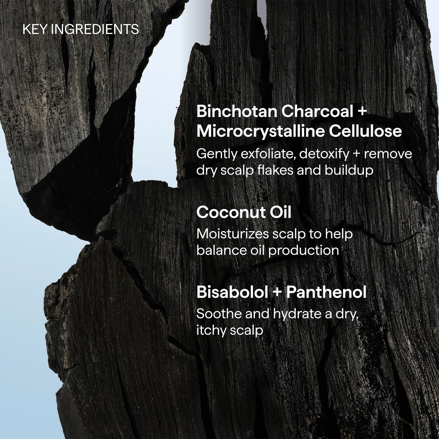 Briogeo Scalp Revival Charcoal + Coconut Oil Micro-Exfoliating Shampoo | Sulfate-Free Scalp Scrub for Dry, Itchy, or Oily Scalp | Detoxifying & Hydrating | Vegan & Cruelty Free | 2 oz