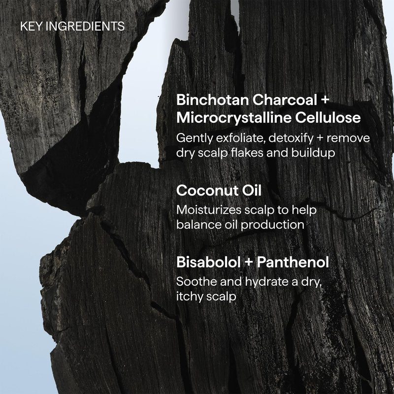 Briogeo Scalp Revival Charcoal + Coconut Oil Micro-Exfoliating Shampoo | Sulfate-Free Scalp Scrub for Dry, Itchy, or Oily Scalp | Detoxifying & Hydrating | Vegan & Cruelty Free | 2 oz