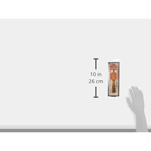 Y.S. Park Hair Brush (65 x 222 mm) - Pack of 1