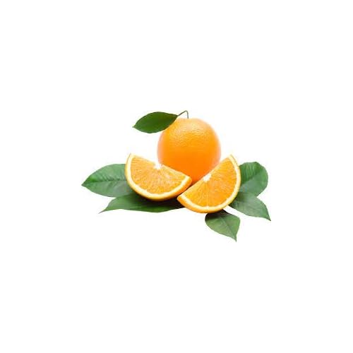 Sweet Oranges & Oatmeal Bar Soap - Handmade, Cold-Process Soap for Face & Body. Vegan with Natural Sweet Orange Essential Oil and Gluten-Free Oatmeal