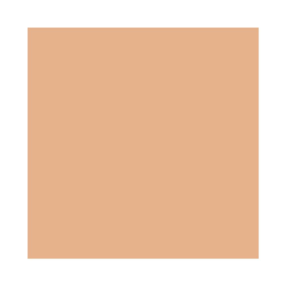 MAC Studio Fix Powder Plus Foundation C5.5 - Lightweight, Full Coverage | 0.52 Ounce