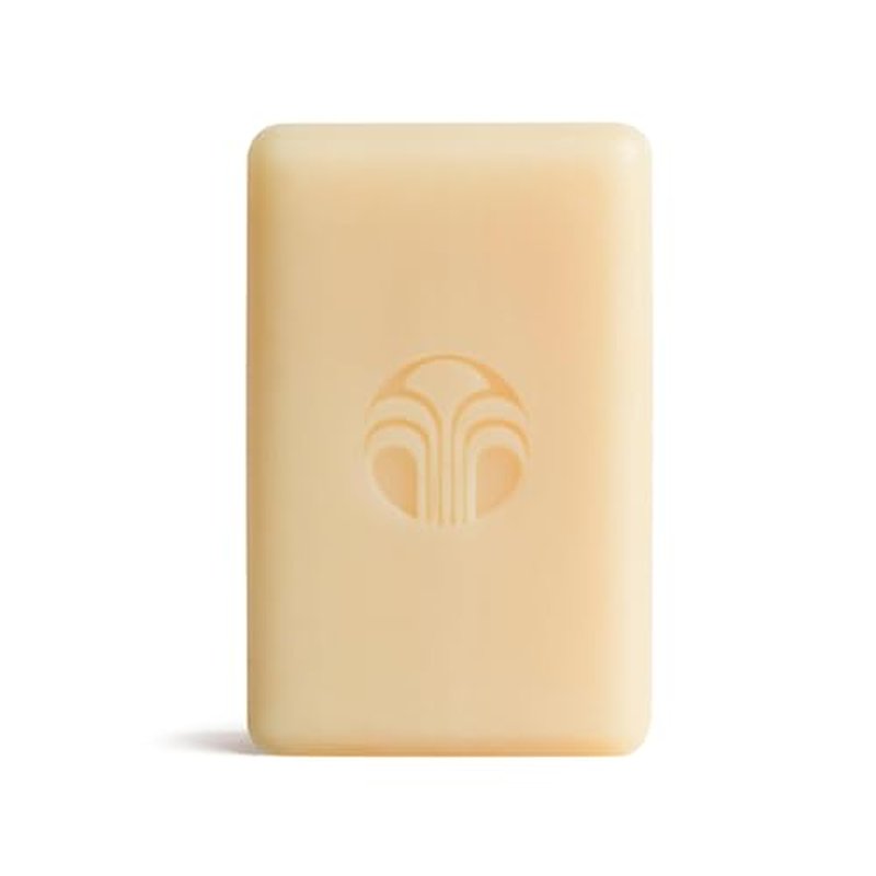 Nu Skin Body Bar Soap | Gentle Cleansing Bar with Moisturizing Aloe Vera | Non-Drying Daily Cleanser for Hands, Body & Face | Refreshing Scent | Soft, Hydrated & Revitalized Skin | 4 (5 Pack)