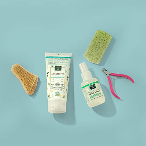 Earth Therapeutics Tea Tree Oil Foot Balm ? Australian Tea Tree Oil w/Aloe Vera & Chamomile ? Hydrates, Softens & Conditions Dry Cracked Feet, Heel and Calluses ? Soothe Irritated Skin ? 6 Oz