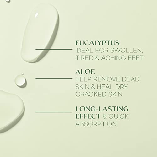 Eucalyptus & Aloe Foot Masks - Moisturizes Tired, Dry & Cracked Feet, Exfoliating & Hydrating - Dermatologist Tested Korean Skincare - Clean Beauty, Cruelty-Free - 3 Pairs