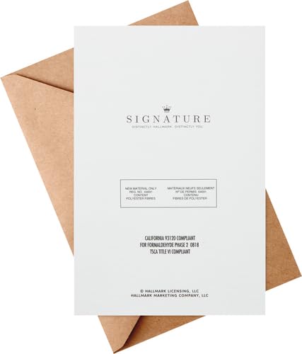 Hallmark Signature Valentines Day Card for Husband, Wife, Boyfriend, Girlfriend (Smores)