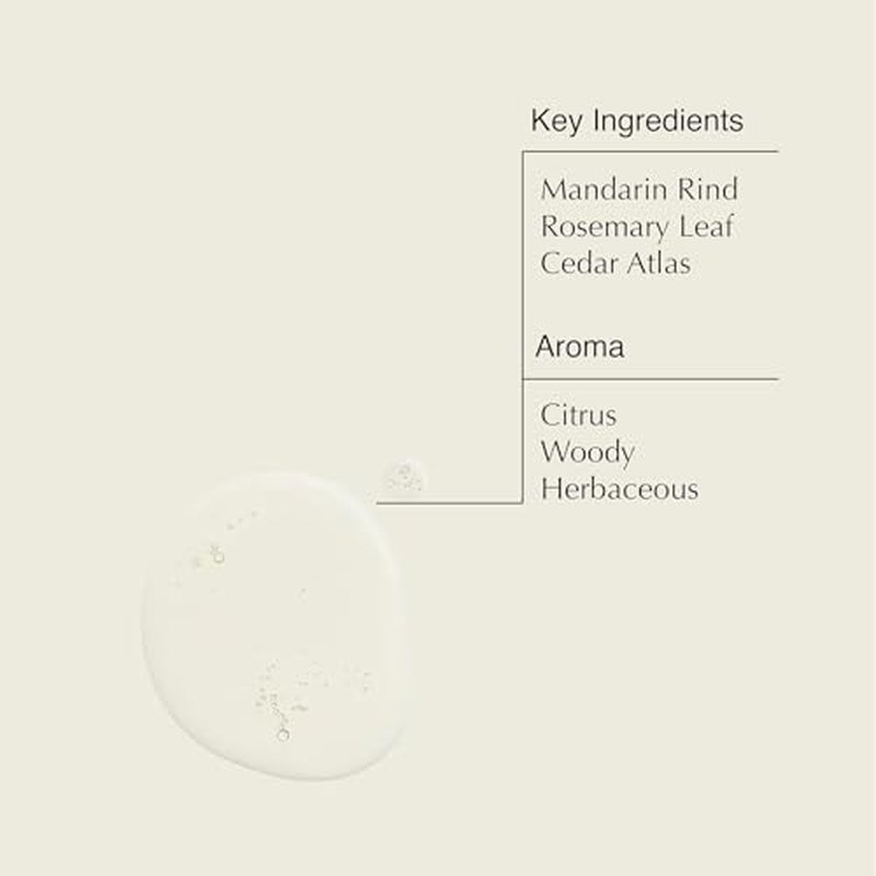 Aesop Resurrection Aromatique Hand Wash & Refill | Non-Drying Gentle Gel Hand Wash with Orange, Rosemary and Lavender Oils | 16.9oz / 500mL (Pack of 2)