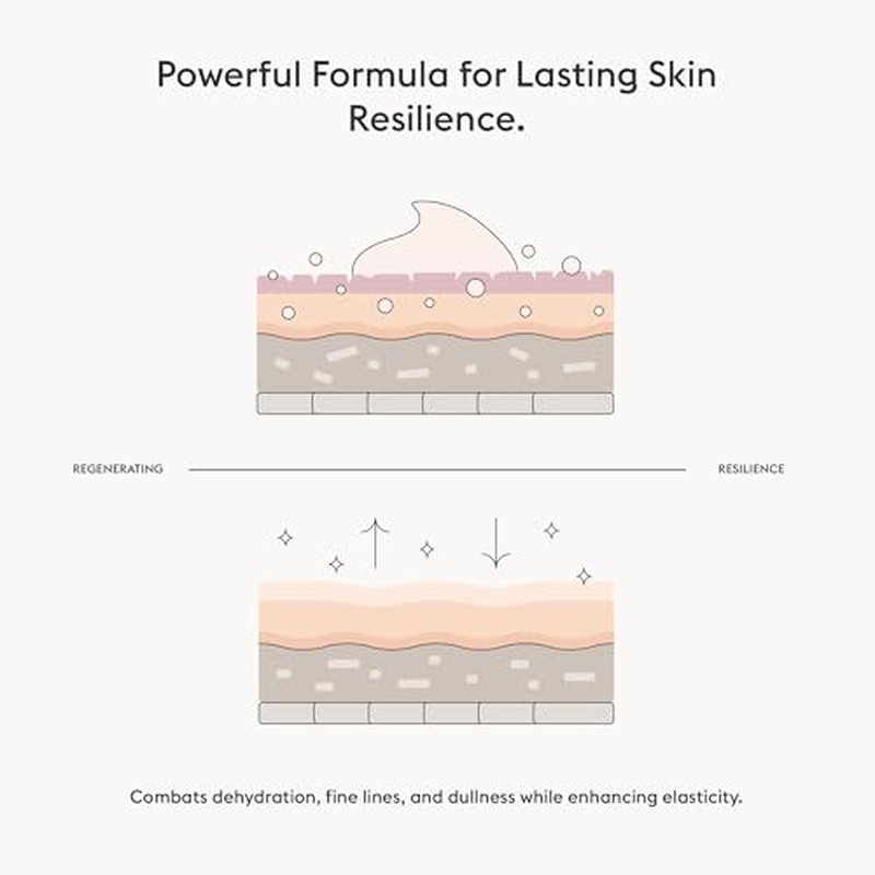 AMEON Holy Cream Moisturizer - Ultra-Nourishing, Skin Tone Perfecting, Regenerating, Lightweight, Gentle, Anti-Aging, Hydrating