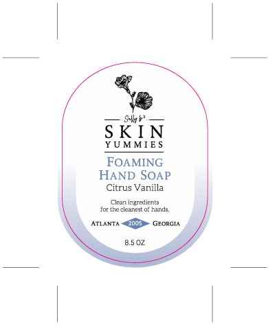 Sally B's Citrus Vanilla Foaming Hand Soap - Wash for Dry Skin and Redness Relief/EWG Verified/ 8.5 OZ(Citrus Vanilla)