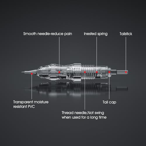 BIOMASER S20 Tattoo Gun Wireless Permanent Makeup Machine kit 10pcs Cartridges Needles for Eyebrow Lip Eyeliner Ombre Powder Brows Microshading Supplies