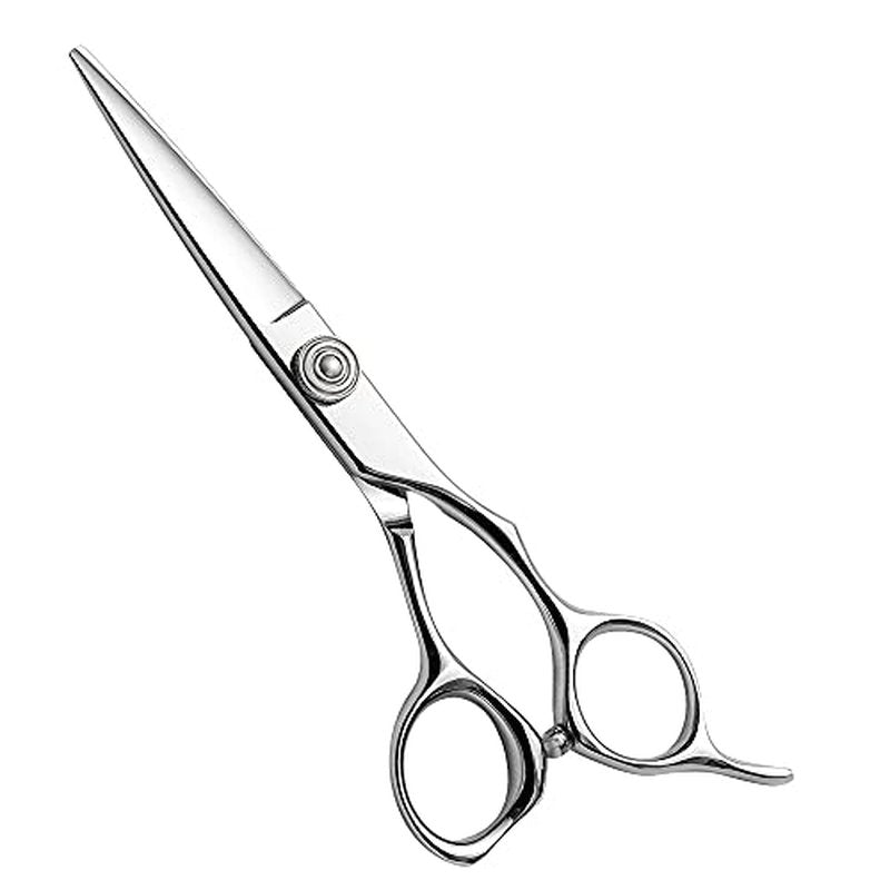 AOLANDUO Professional Shears for Hair Cutting, VG10 Steel Scissors to Cut Hair Professional, Precision Barber & Hair Stylist Shears, Ergonomic, 1 Count, 5.5 Inch
