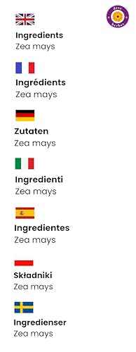 dève herbes Corn Oil (Zea mays) | Cold Pressed | Pure | Natural | Undiluted | for Diluting Essential Oils | for Skin & Massage | Non-Sticky | Lightweight | Men & Women | 200ml (6.76 oz)