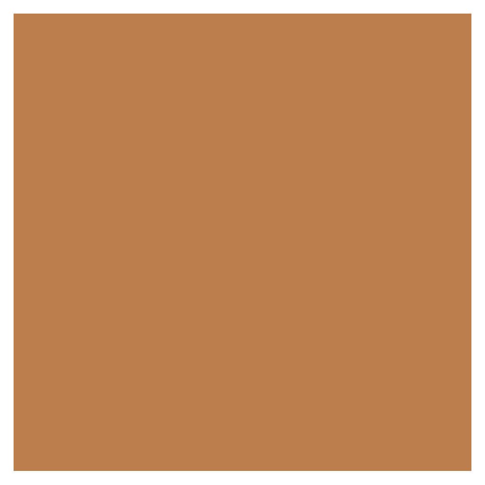 Revlon Colorstay SPF 15 Makeup Foundation for Combination/Oily Skin, Caramel, 1 Fl Oz