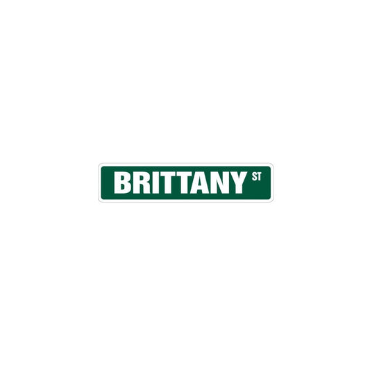 Brittany Street Sign Great Gift Idea 100's of Names to Choose from!!!