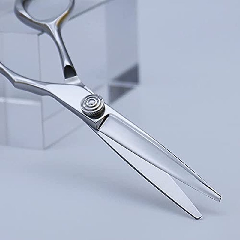 AOLANDUO Professional Shears for Hair Cutting, VG10 Steel Scissors to Cut Hair Professional, Precision Barber & Hair Stylist Shears, Ergonomic, 1 Count, 5.5 Inch