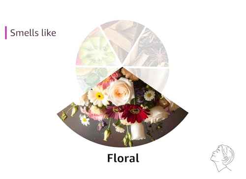 Weleda Pampering Wild Rose Body Lotion, Plant Rich Moisturizer with Wild Rose Oil, Jojoba Oil and Shea Butter, 6.8 Fl Oz (Pack of 2)