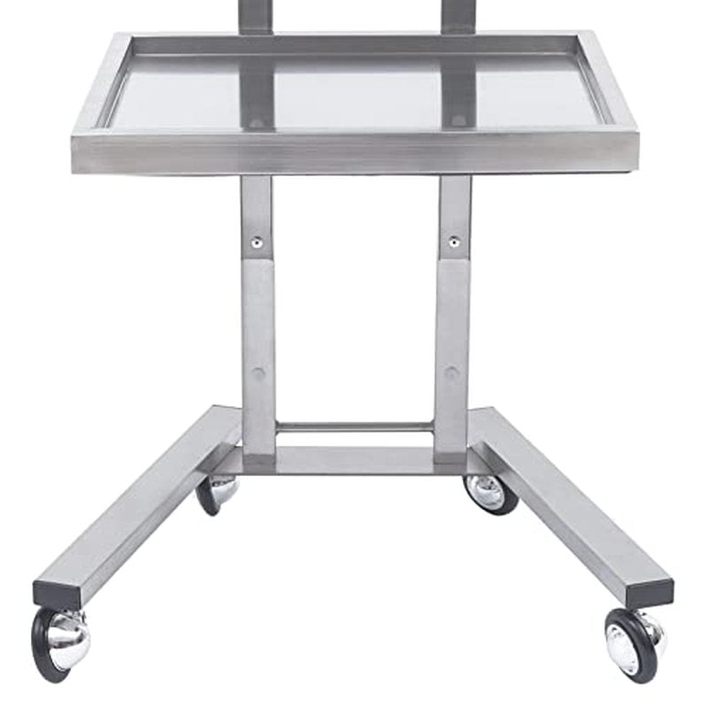 2 Tier Metal Rolling Cart, Stainless Steel Salon Tray with Wheels, Foldable Utility Carts, Folding Salon Tray Trolley, Rolling Tray Salon Trolley for Tattoo (Silver)