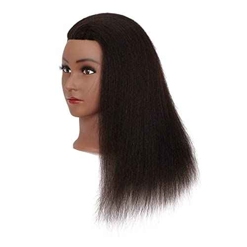 Hairginkgo Mannequin Head 100% Real Hair Manikin Head Styling Hairdresser Training Head Cosmetology Doll Head for Dyeing Cutting Braiding Practice with Clamp Stand (2022B0214)