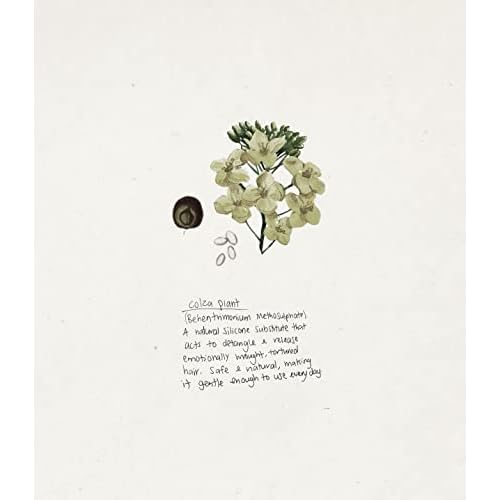 TRIUMPH & DISASTER | Conditioner, Moisturizing, Hydrating & Detangling Hair Conditioner with Keratin for Dry, Damaged Hair for Men & Women, 19.22 fl oz