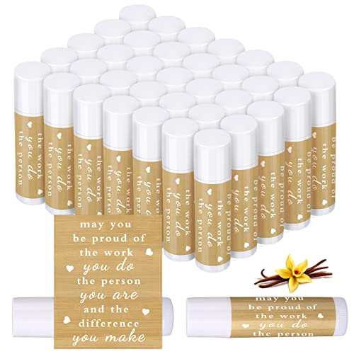 Demissle 72 Pcs Thank You Lip Balm Appreciation Gifts Bulk Inspirational You're the Balm Vanilla Ingredients Lips Care for Thanksgiving Christmas Appreciation Favor Employee Coworker Volunteer