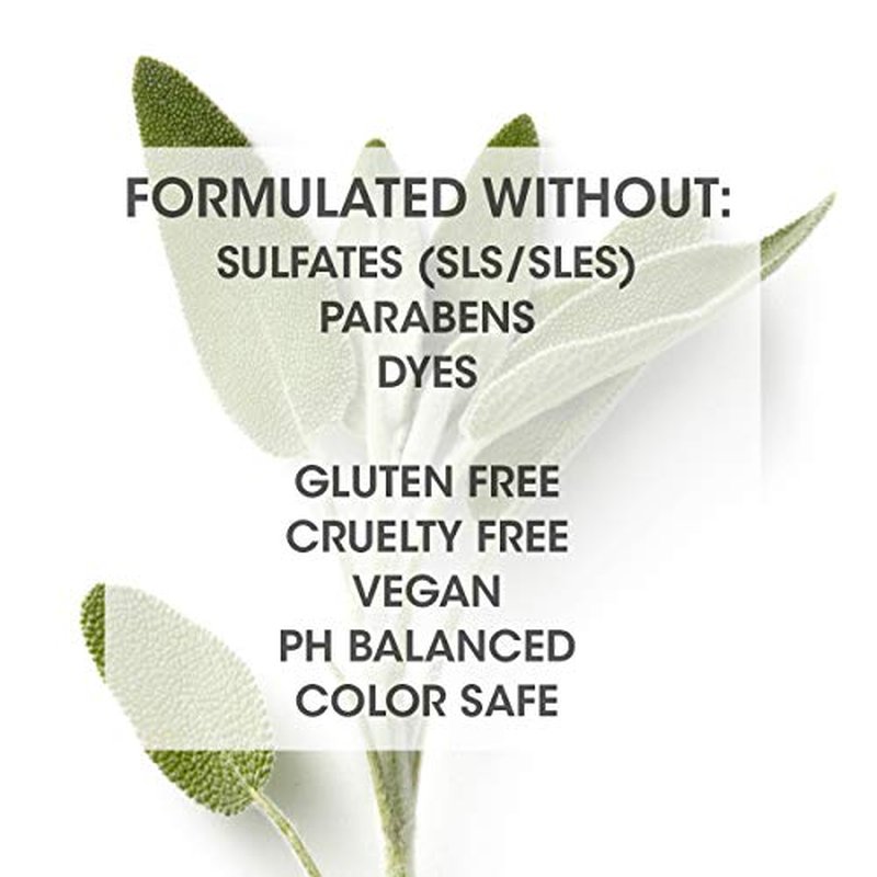 SEVEN Haircare Satara Volume Shampoo for Women & Men, Sulfate + Cruelty Free & Paraben Free with Pro Vitamin B5, Argan Oil, Hydrolyzed Quinoa Protein for Flat + Limp Hair, Made in USA, 32oz