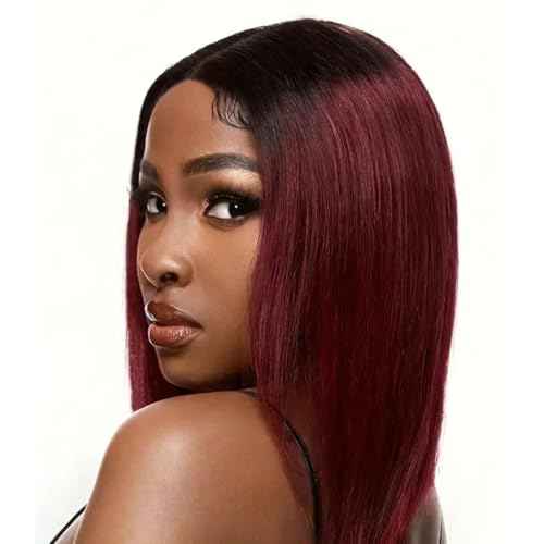 Ombre 99J Burgundy Lace Front Bob Wig Human Hair 13x4 HD Lace Frontal Wigs Short Straight Bob Wigs for Black Women Human Hair Pre Plucked Natural Hairline 1B/99J 8 Inch