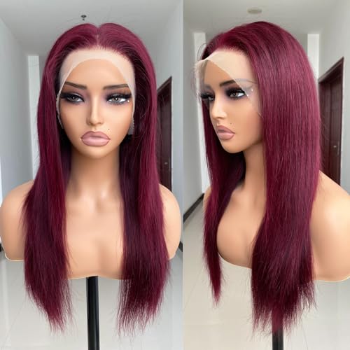 REMY HAIR 99J Lace Front Wigs Human Hair 13x4 Transparent Frontal Lace Straight Wig Pre Plucked with Baby Hair 180% Density Brazilian Virgin Glueless Wigs for Women Burgundy Lace Front Wigs (14 Inch)
