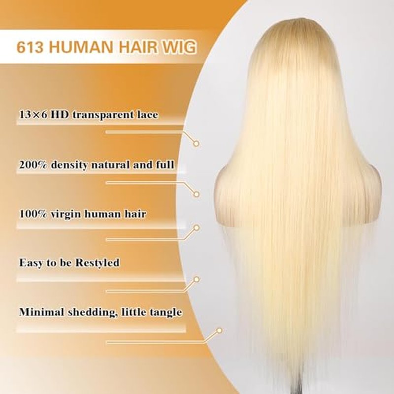 613 Lace Front Wig Human Hair 200 Density 613 13x6 Straight Blonde Human Hair Wig Pre plucked for Women 613 HD Lace Frontal Wig 13x6 22 Inch