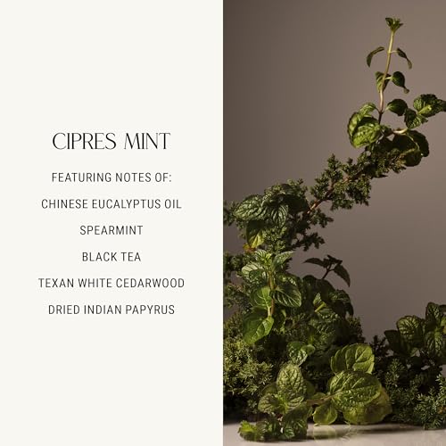 Homecourt Room Deodorant, Natural Room Spray, Fragrance of Spearmint & Cedarwood, For Kitchen, Bathroom & more, Clean Formula, Cipres Mint, 3.4 oz