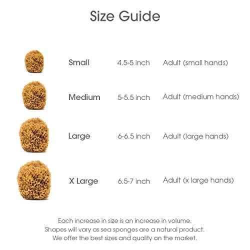 Naroa Soft Natural Sea Sponge | Gentle Loofah for Bathing Smooth Skin | Unbleached Shower Body Scrubber Puff | Bath & Spa (Medium)