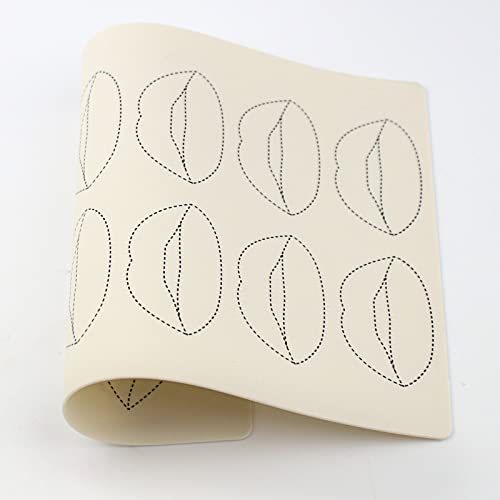 5pcs Lip Microblading Practice Skin for Tattoo Machine Double Sides Silicone Sheets to Practice Lip Permanent Makeup (5pcs)
