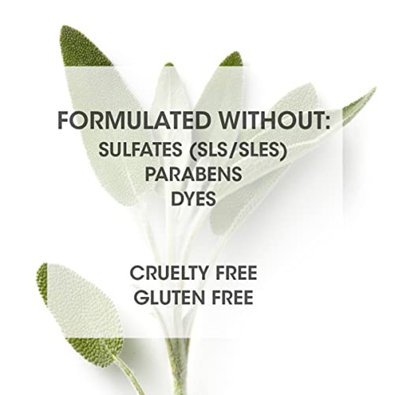 SEVEN Haircare Cubica 7-DAY Shampoo for Women, Men, All Hair Types, Add Shine and Moisture to Hair, Sulfate & Paraben Free, Cruelty Free with Biotin + Green Tea Extract, Made in USA
