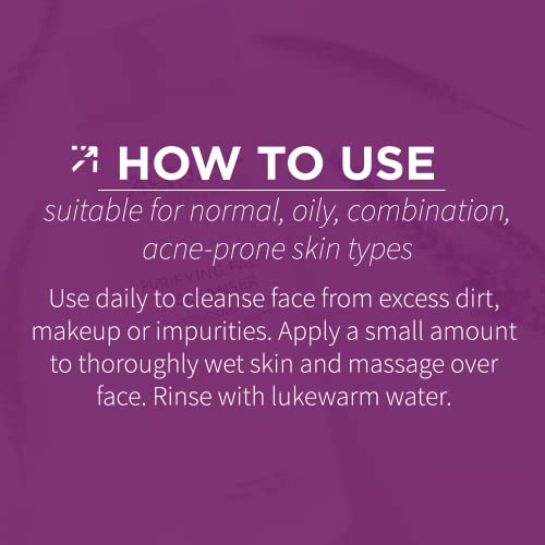 Alchimie Forever Purifying Gel Cleanser antioxidant-rich Facial Cleanser With Anti-Aging Benefits - Natural Ingredients, Perfectly Clean, Radiant, & Healthier-looking Skin 6.6oz