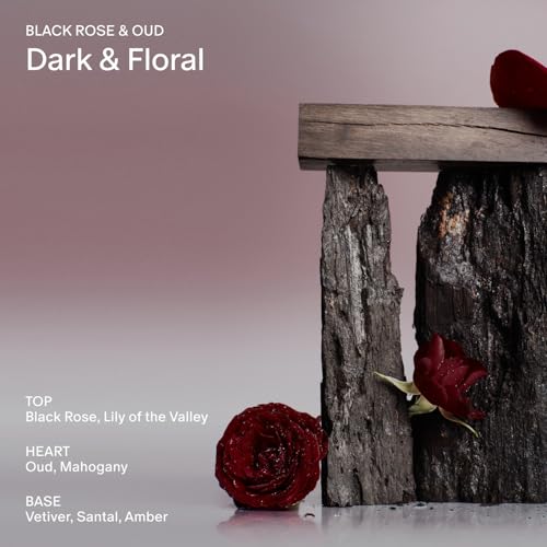 SALT & STONE Aluminum Free Deodorant | Extra Strength 48 Hour Protection for Women & Men | Made with Seaweed Extracts, Shea Butter & Prebiotics (Black Rose & Oud)