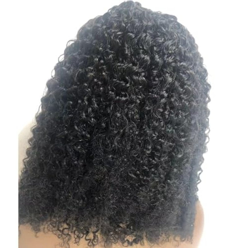 200% Density 100% Human Hair Braided Wigs for Black Women, Lightweight Handmade Braids 13x4 Lace Front Afro Queen Pre Braided Cornrow Glueless Wigs (16 inch)