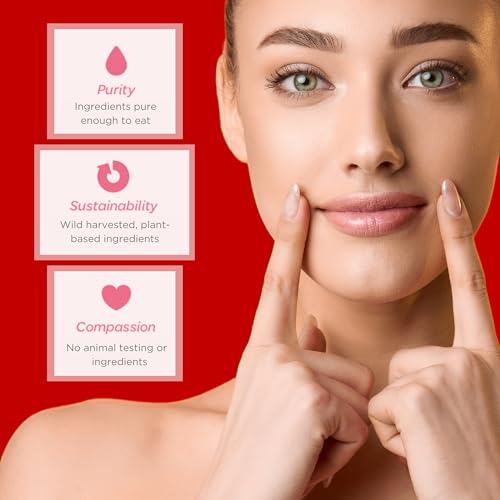 Ellovi Natural Lip Butter Lip Balm - Wild Rose Tinted - Pure Enough to Eat - Made With Just 6 Vegan Ingredients - Tinted Moisturizing Lip Care for All Day Hydration (Single)