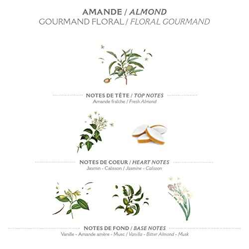 Panier des Sens - Pretty Hands Set - Almond Mini Hand Cream + Nail & Cuticle Oil - 97% Natural, Shea Butter & Sweet Almond - Travel Gift Set for Dry, Cracked Hands - French Skincare Holiday Gift