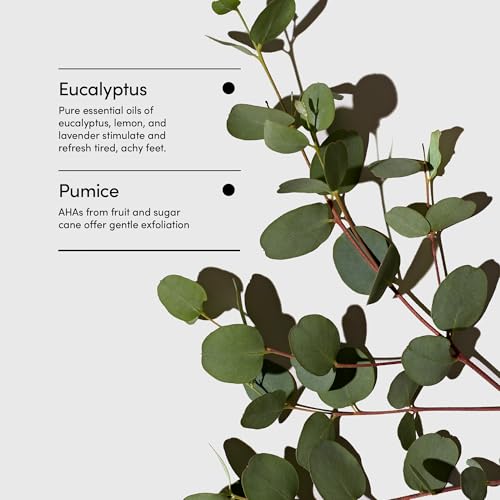 LATHER Foot Scrub with Pumice Stone - Gentle Exfoliating Foaming Foot Scrub for Skin - Cracked Heel Repair for Smooth, Soft Feet - Pedicure Foot Spa | 4 Oz