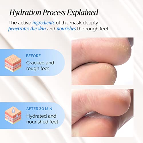 PLANTIFIQUE Korean Foot Mask with Shea Butter 4 Pairs box for Dry & Cracked Feet | Hydrating Socks for Soft Heels | Intense Moisturizing and Repairing Dry Rough Skin | Foot Spa | Happy Feet Mask