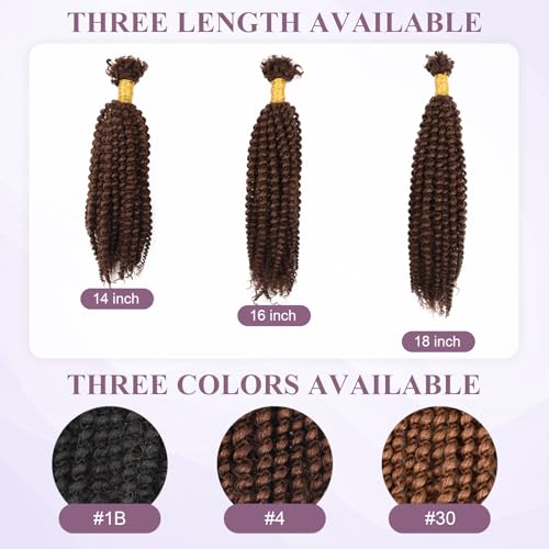Afro Kinky Curly Bulk Human Hair 50g/pack 100% Real Human Hair for Mini Twist/Braiding/Loc Extensions Curly Hair Natural Afro Bulk for Dreadlocks (4#, 16 Inch-50g)