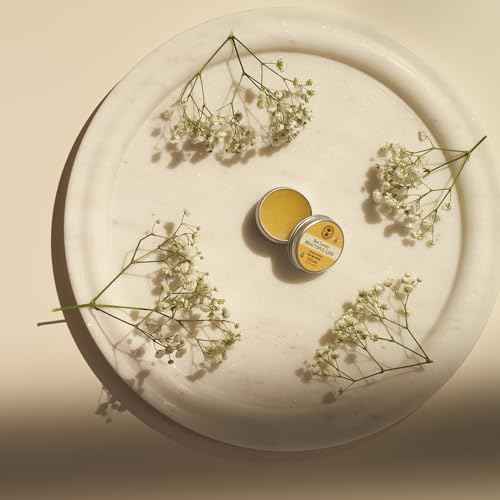 NEALS YARD REMEDIES Bee Lovely Lip Balm, 15 GR