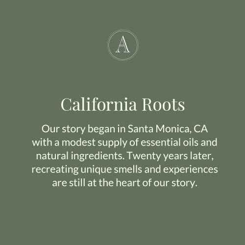 Archipelago Botanicals Botanico de Havana Body Wash, Moisturizing Body Wash for Dry and Sensitive Skin, Gentle Daily Cleanser, Free from Parabens, Phthalates and GMOs (15.3 oz)