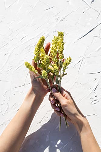 KORRES Olympus Tea Deep Detox Cleansing Cloths, Face Wipes to Cleanse Pores, Makeup Remover Wipes, Purifying Skin Care Cloths for Women and Men, Disposable, Vegetarian, Made in Greece, 30 Count