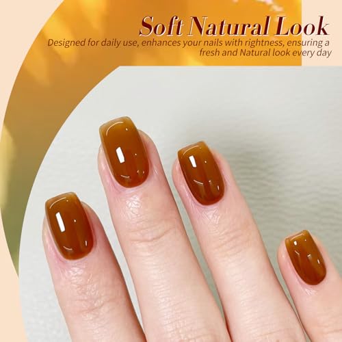 Born Pretty Jelly Gel Nail Polish,Christmas Fall Winter Transparent Gel Polish,Brown Blood Wine Red Orange Green Blue,Soak Off U v LED Light Cure Nail Art Kit for Salon and DIY at Home