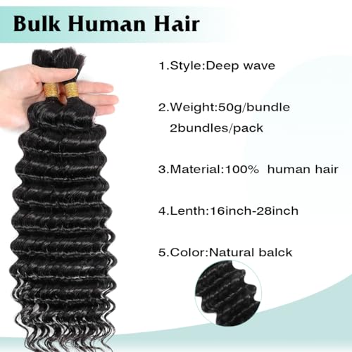 Human Braiding Hair for Boho Braids 28 Inch Deep Wave Bulk Human Hair for Braiding No Weft Brazilian Virgin Curly Human Hair Extension Wet and Wavy Micro Human hair Braiding Hair 2 Bundles/Pack 100g