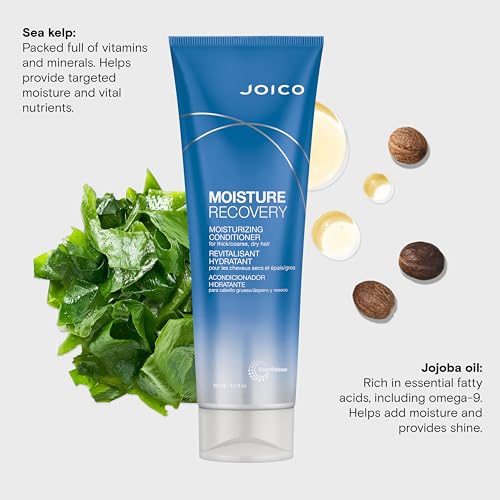Joico Moisture Recovery Moisturizing Conditioner | For Thick, Coarse, Dry Hair | Restore Moisture, Smoothness, Strength, & Elasticity | Reduce Breakage | With Jojoba Oil & Shea Butter | 8.5 Fl Oz