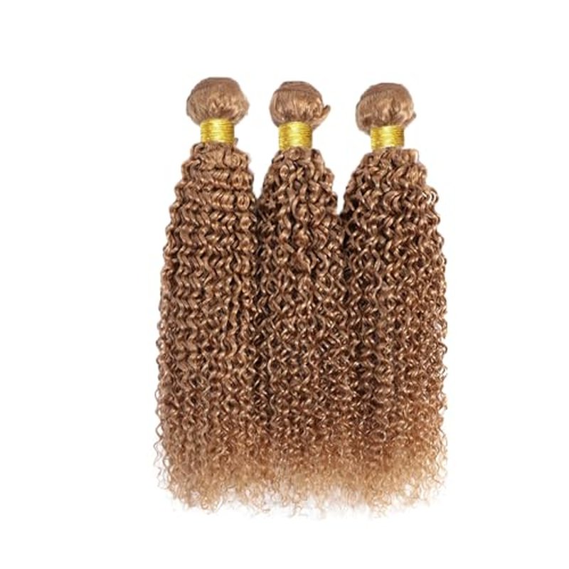 26 28 30 Inch Color 27 Bundles Human Hair Honey Blonde Curly Bundles Human Hair Brazilian Unprocessed Virgin Hair 3 Bundles Color 27 Kinky Curly Bundles Human Hair