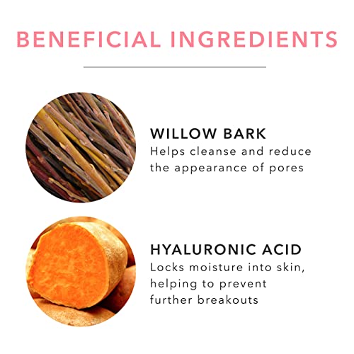 100% PURE Tea Tree & Willow Clarifying Astringent, Natural Acne Treatment, Alcohol Free, Hydrating Toner - 4 Fl Oz