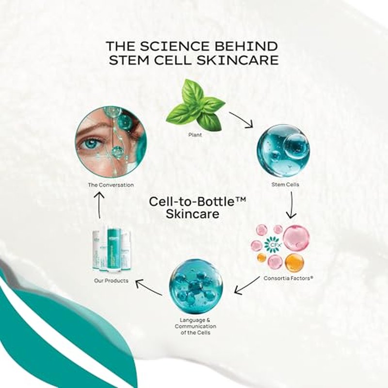 STEM Natural Intelligence ReNew Cream, Daily Face Moisturizer Cream, Luxury Facial Moisturizer for Women and Men, Premium Facial Skin Care Products with Antioxidants, Neck and Face Cream, 1 oz